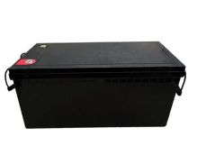 RV/Marine/Solar System 24V 100Ah LiFePO4 Lithium Iron Phosphate Battery