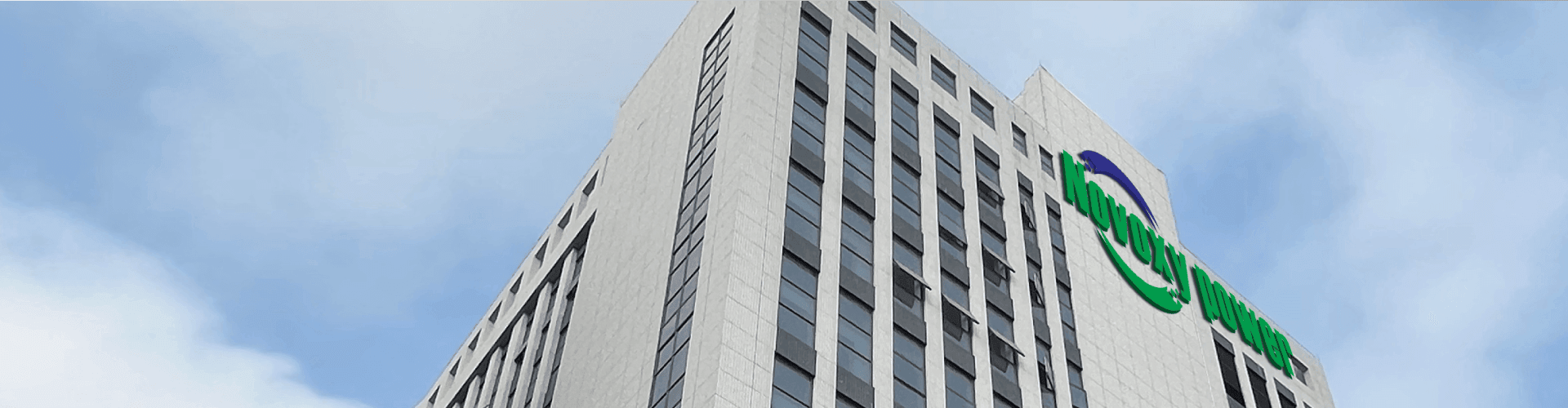 Company profile