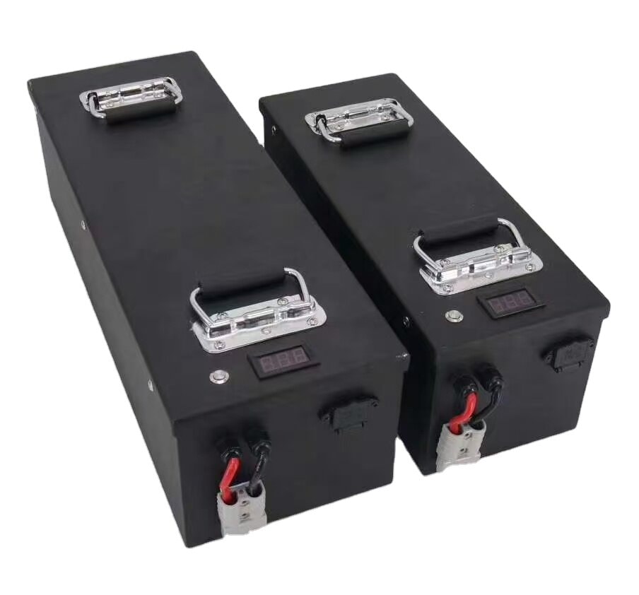 Deep cycle recharge 12v 24v 36v 48v 72v electric vehicles battery